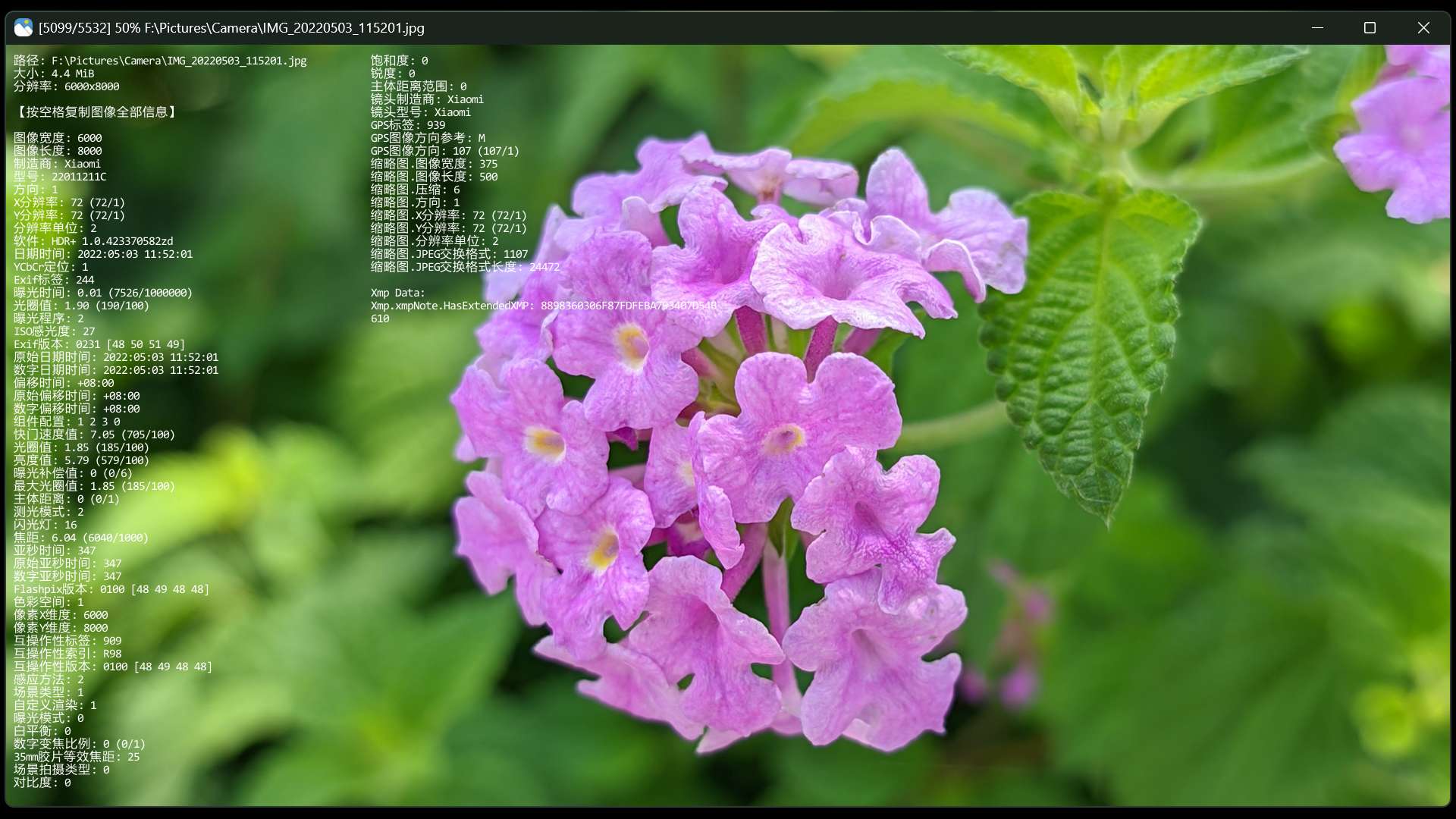 e5ac1751869583.jpg